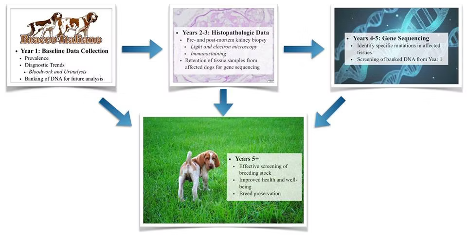 Kidney Disease Kidney Disease